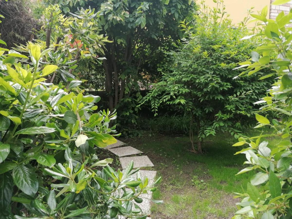L'Angolino Apartment Trento Eksteriør bilde