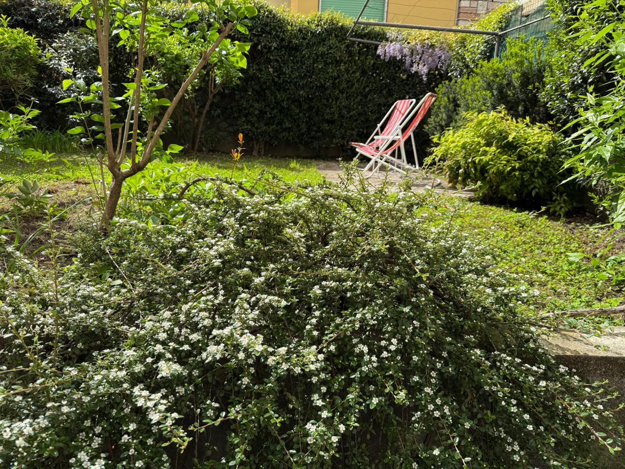 L'Angolino Apartment Trento Eksteriør bilde